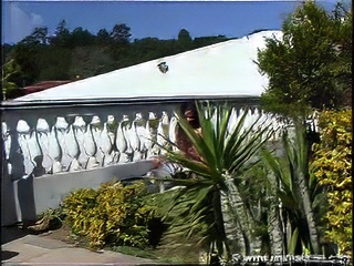 show cam doggy style and swallow dog