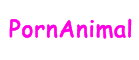 Porn Animal
